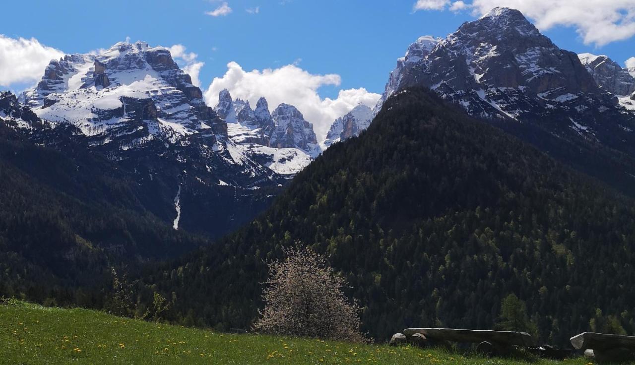 Fogajard Lovely Chalet Madonna di Campiglio Luaran gambar